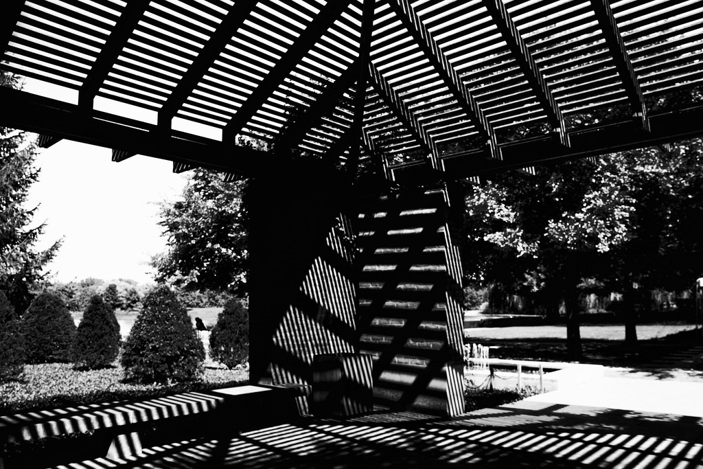 Crazy Shadow Lines at the Botanic Garden by jyokota