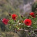 Wildflowers season  by gosia