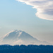 Cool Clouds over Rainier  by epcello