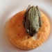 Frog on a cracker by cjwhite