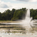 Fountain & Heron by swchappell