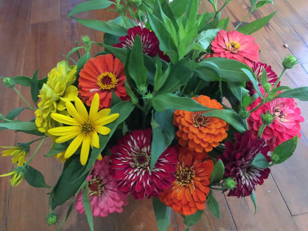 Bouquet of Zinnias by congaree