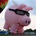 When pigs fly! by susanharvey