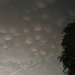 Mammatus clouds by frappa77