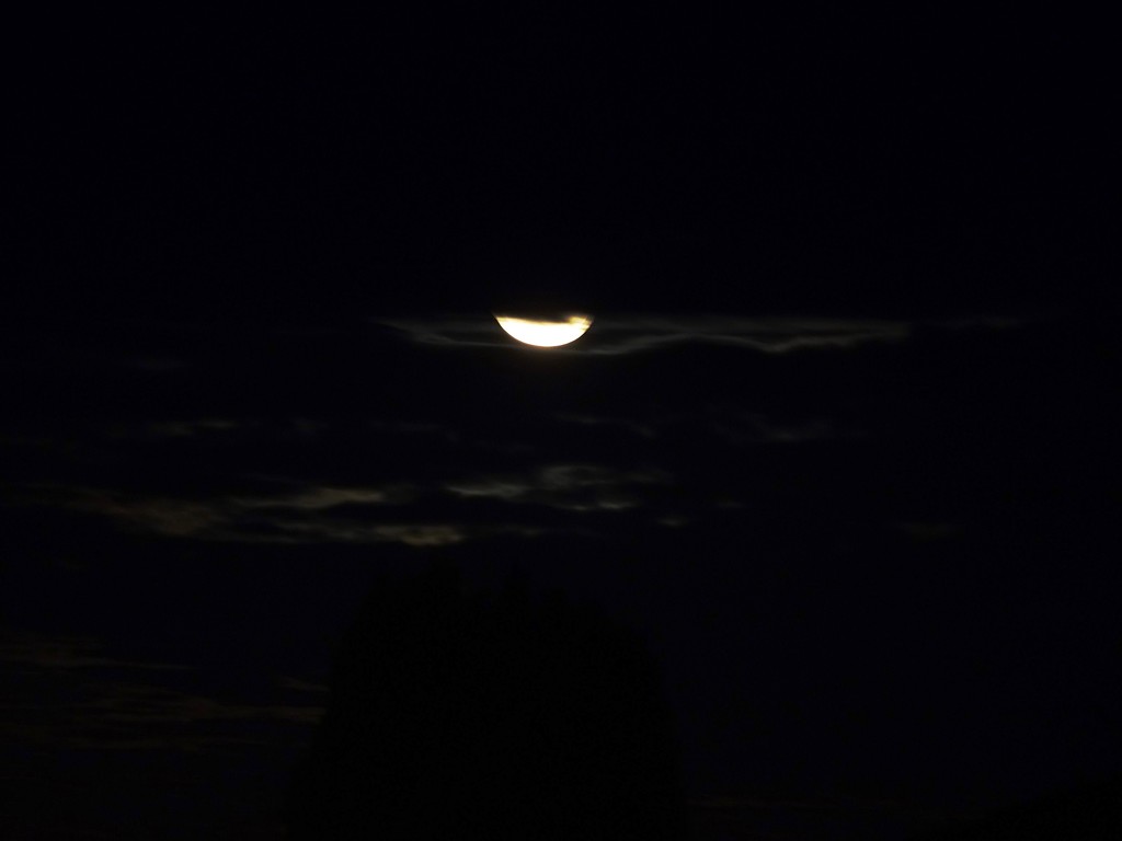 Penumbral Lunar Eclipse by maggiemae