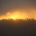 foggy sunrise by lynnz