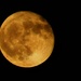 Full moon by judyc57