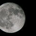 Tonight's Moon Over Jacksonville! by rickster549