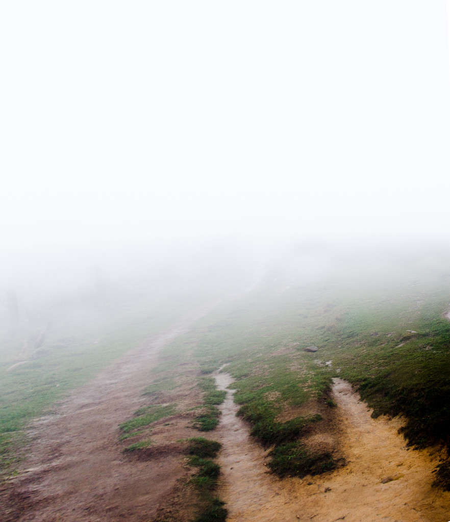 Into the fog by yaorenliu
