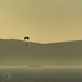 Ultralight with St George's Island in the background by evalieutionspics