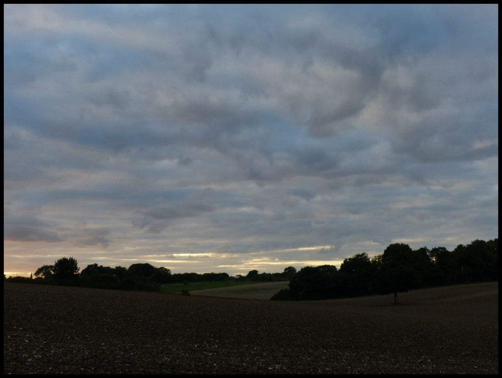 Low clouds. by jokristina