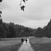 Walk in the park  by 365projectdrewpdavies