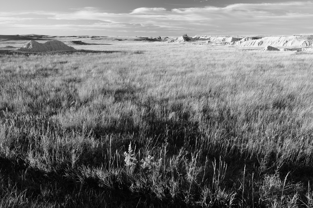 Badlands: High Prairie by tosee