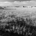 Badlands: High Prairie by tosee