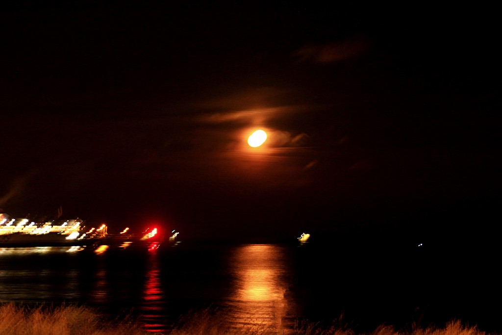 Moonrise over Dover by kiwinanna