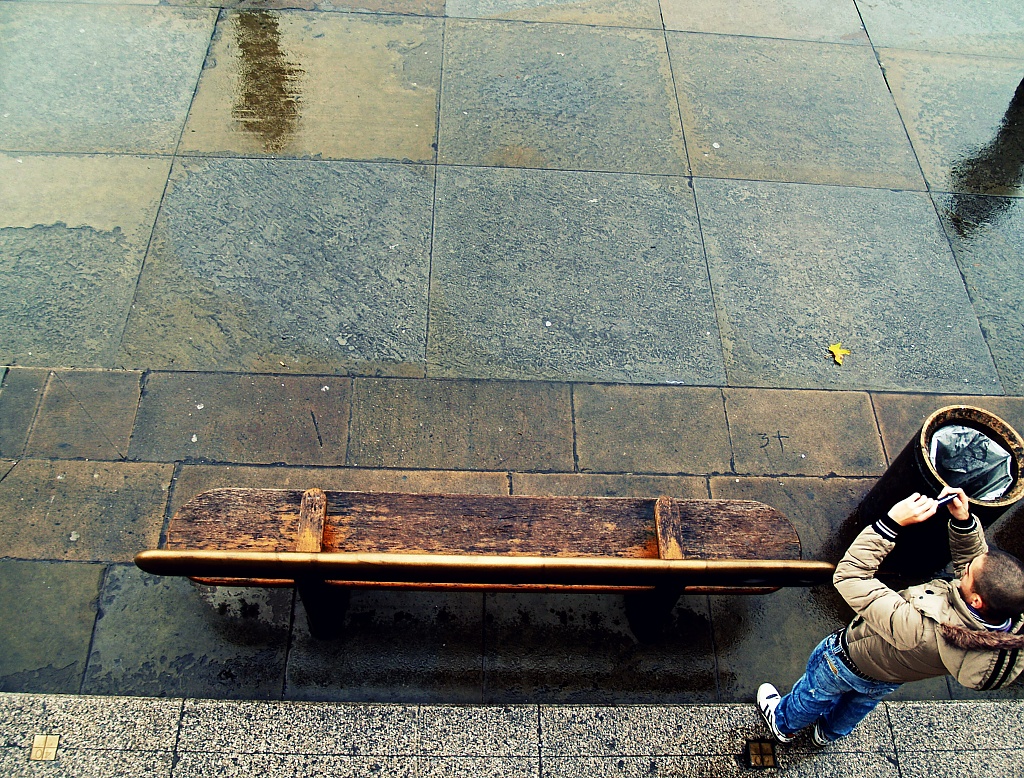 Bench-Life - Happy Snapper by rich57