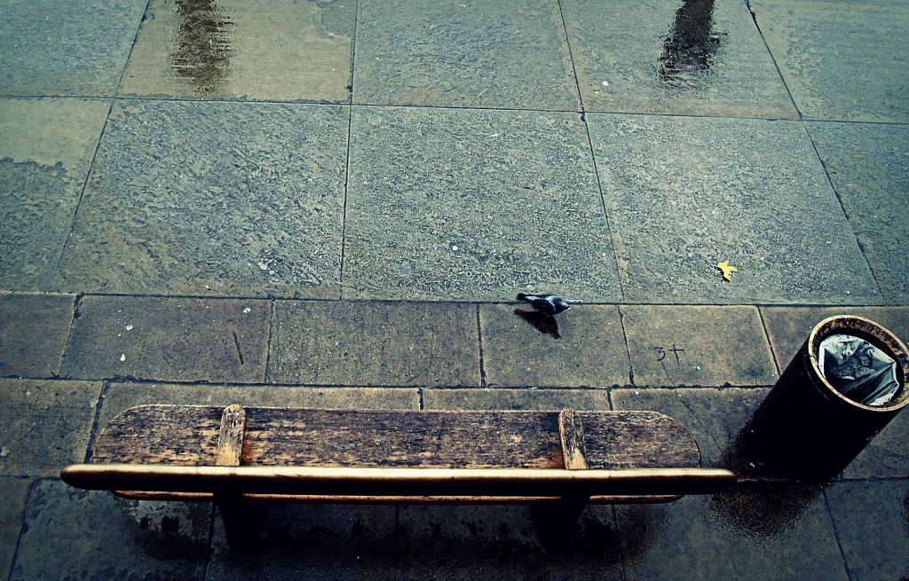 Bench Life - Lone Pigeon by rich57