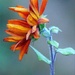 Velvet Queen Sunflower by paintdipper