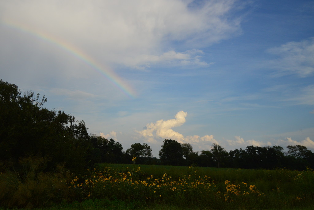 Kansas Rainbow by kareenking