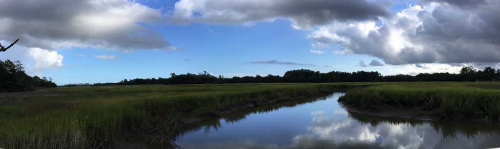 Tidal creek and marsh, Charleston, SC by congaree