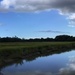 Tidal creek and marsh, Charleston, SC by congaree