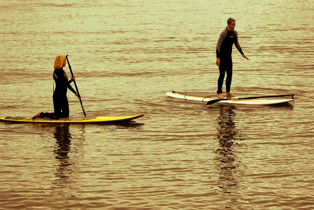 Paddle Boarders by cookingkaren