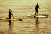 20th Sep 2016 - Paddle Boarders