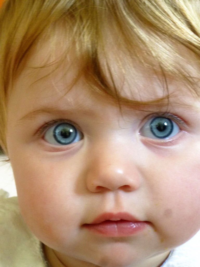 Little Miss Blue eyes by brennieb