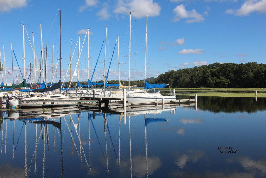 0915_7305 Sailboat club in late summer by pennyrae