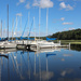 0915_7305 Sailboat club in late summer by pennyrae