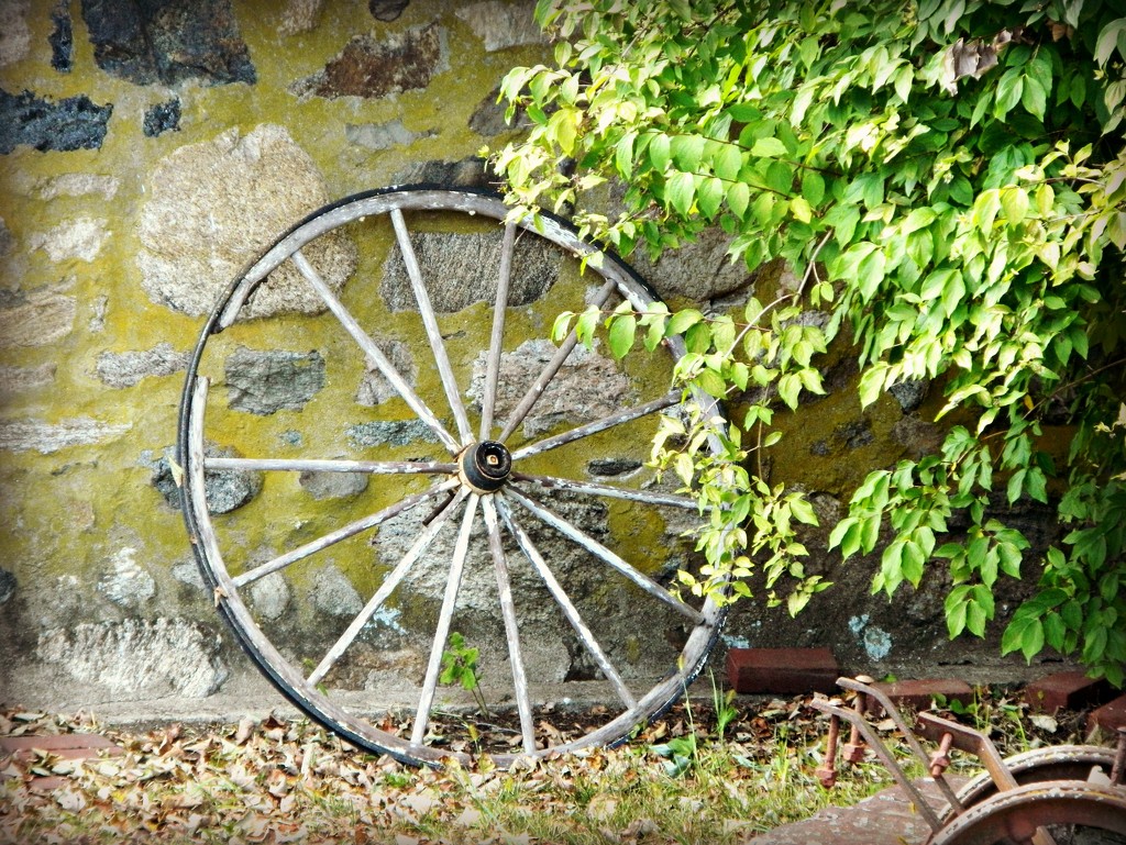 Rustic Wheel  by jo38