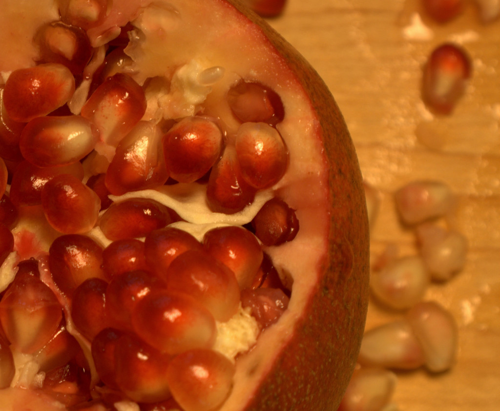 Day 21:  Pomegranate by sheilalorson