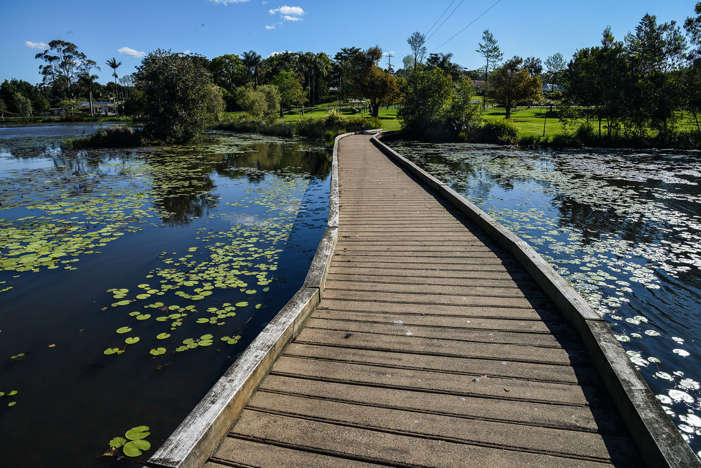The footbridge, Mapleton lily ponds. by jeneurell