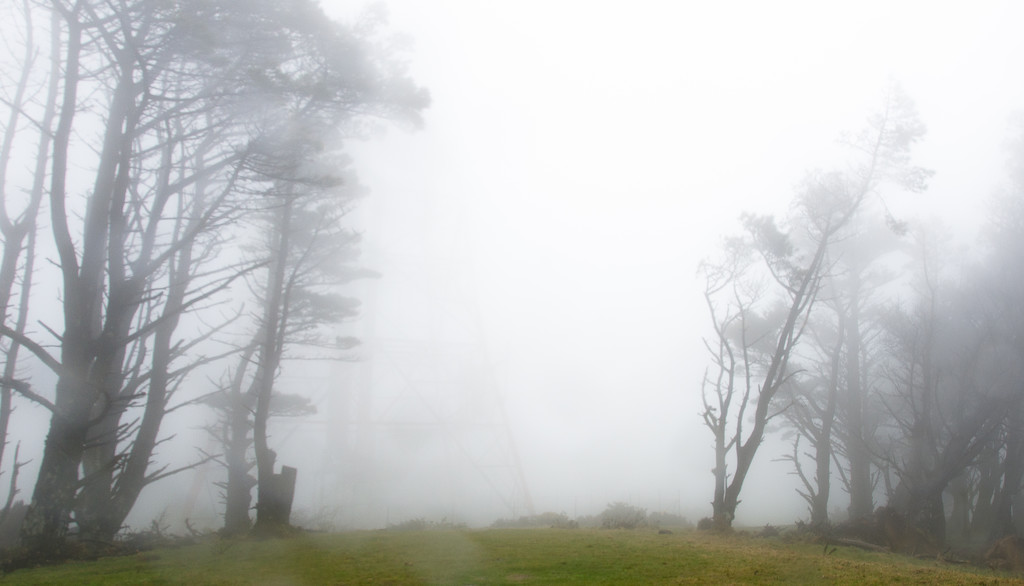 In the Fog by yaorenliu