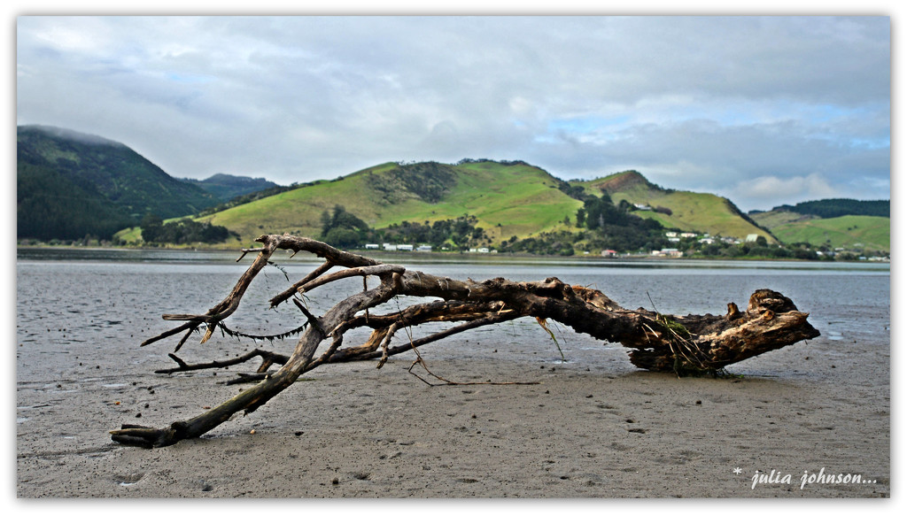 Waikato River.. Low tide.. by julzmaioro