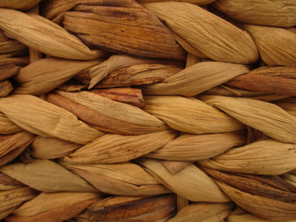 Macro-wood by granagringa