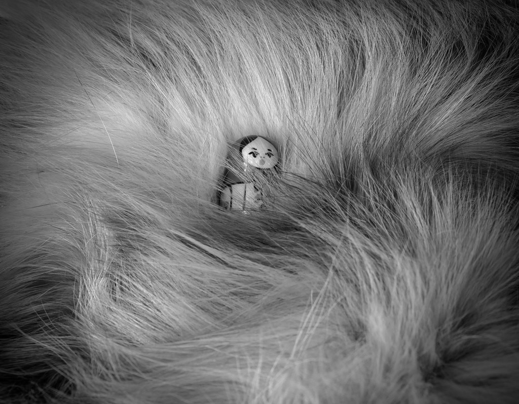Matryoshka doll meets Silver Fox! by maggiemae