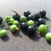 Berries by kjarn
