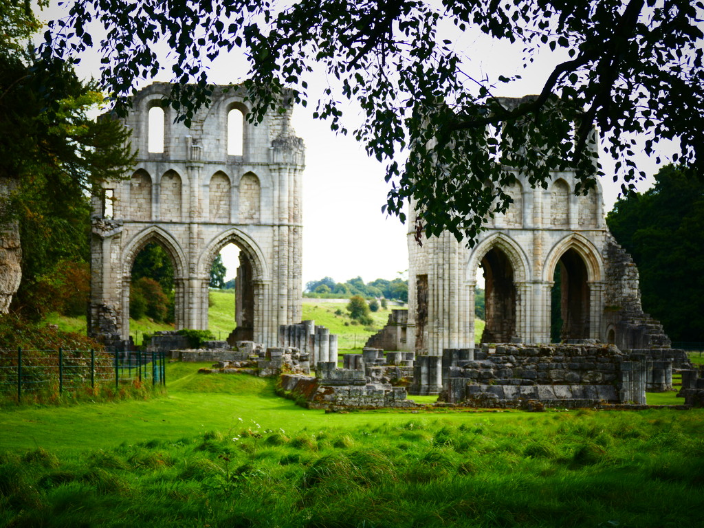 The Ruins of Roche Abbey, South Yorkshire by carole_sandford