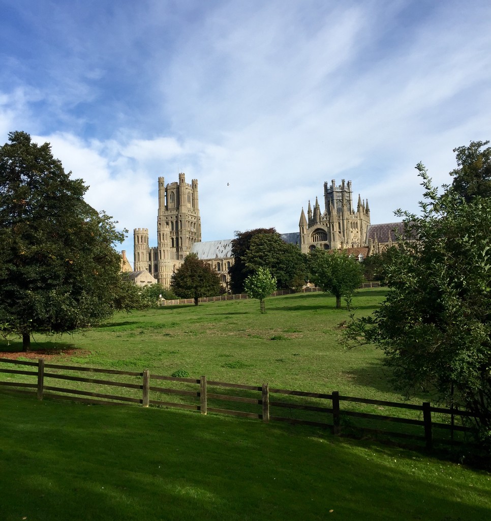 Ely Cathedral by gillian1912