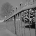 snowy night by juletee