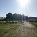 Day One - Richmond Park by bulldog