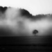 2016-09-25 in autumnal fog by mona65