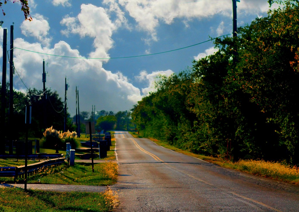 Country Road by judyc57