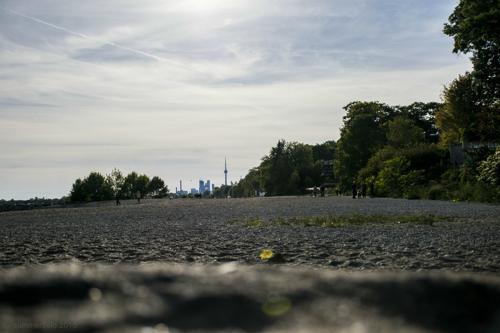 my toronto skyline from the ground by summerfield