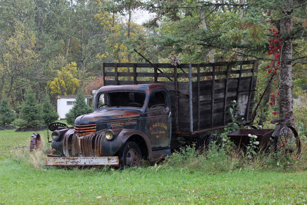 Mackleson's Old Truck by gaylewood