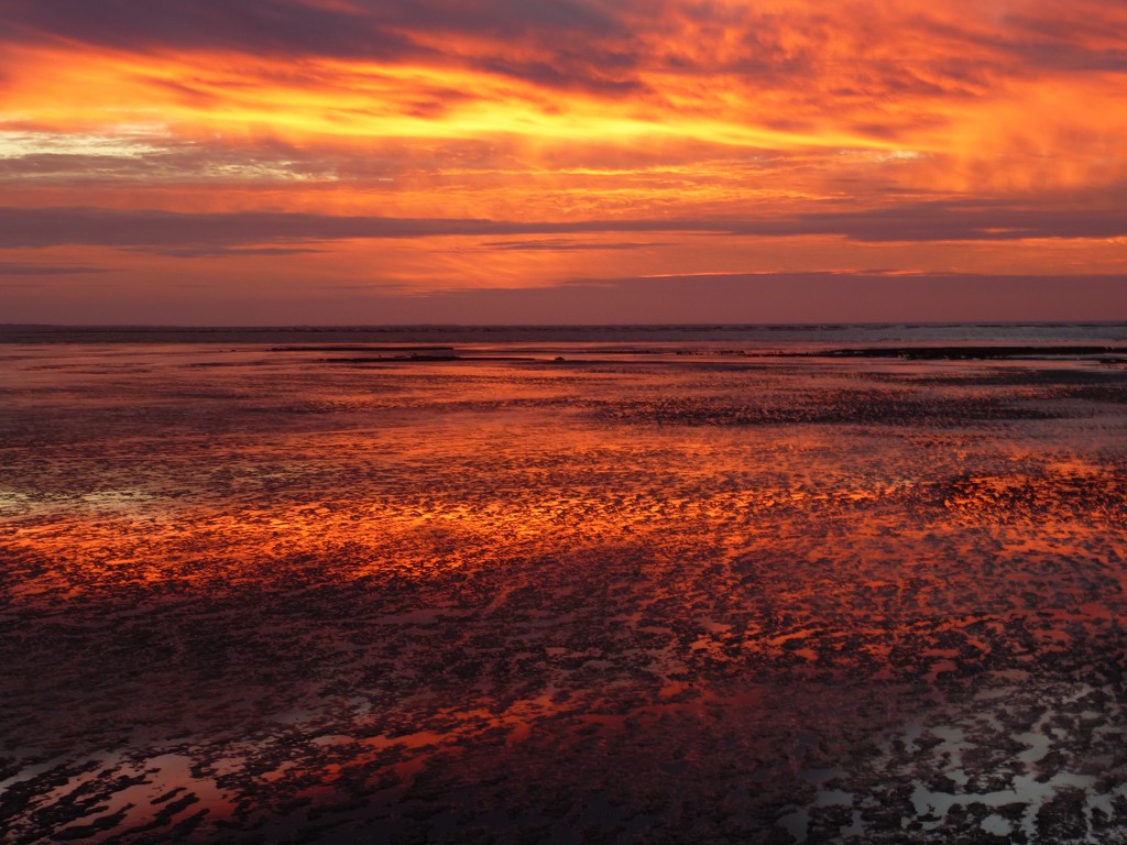 sunset at low tide by quietpurplehaze