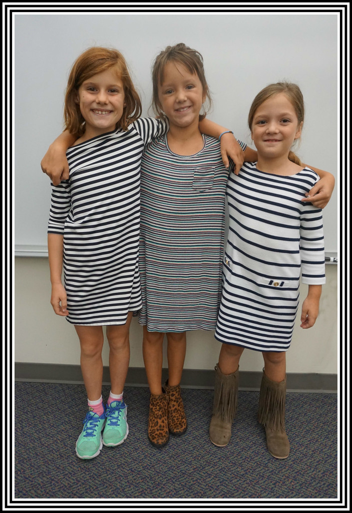 Yipes, Stripes! by allie912