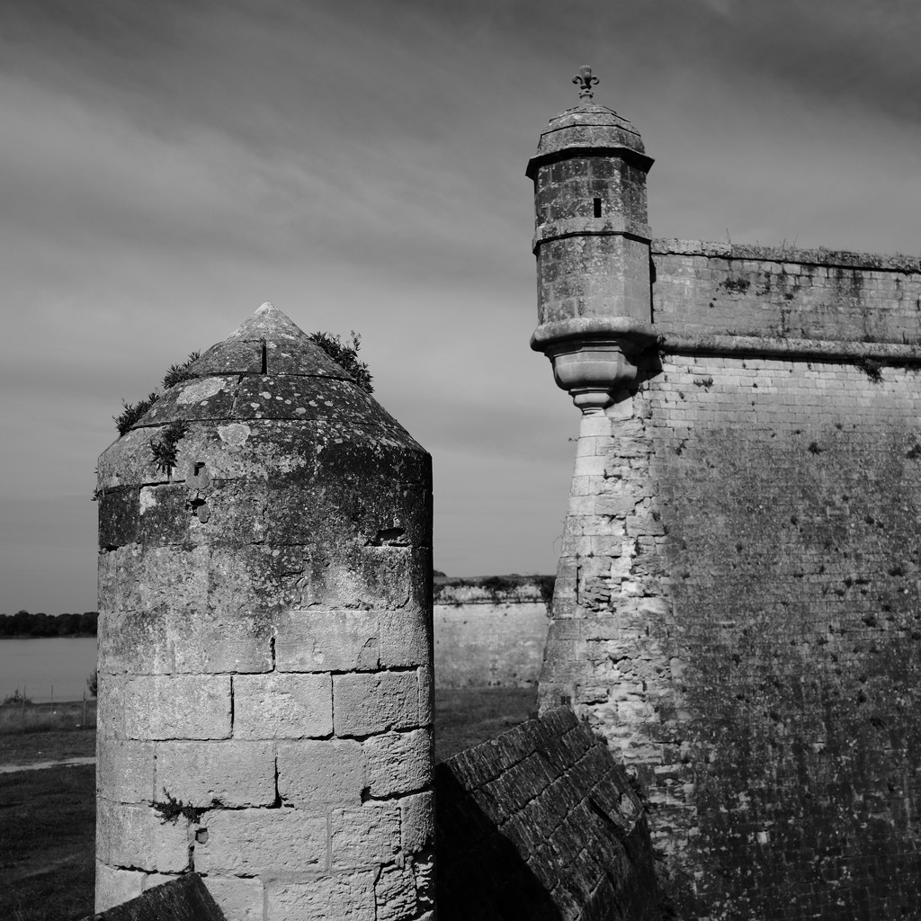 OCOLOY Day 270: Fortifications - La Citadelle de Blaye by vignouse