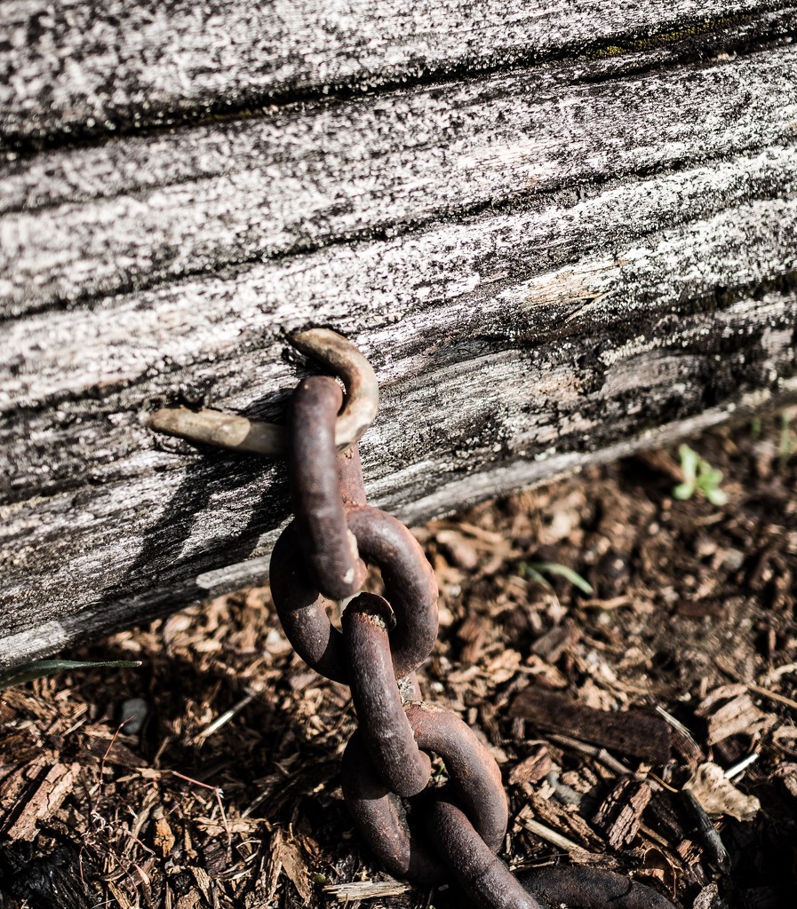 Chained and grounded by cristinaledesma33
